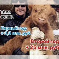 Региональный сельхозпортал в Лисичанске, Северодонецк