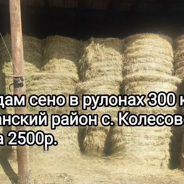 Продам сено в рулонах 300кг