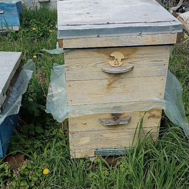 Продам улик для пчел