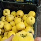 Айва, груши осенние, сушка из яблок