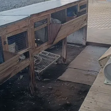 Клетка для кролика