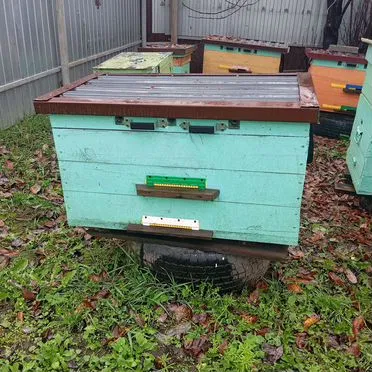 Продам ульи для пчел бу