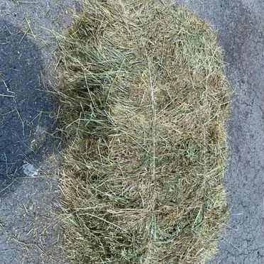 Люцерна в тюках