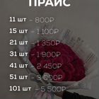 Цветы роза 101