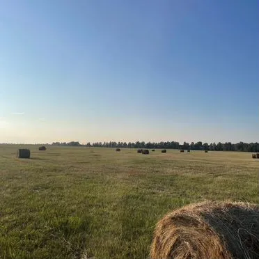 Продам сено в рулонах