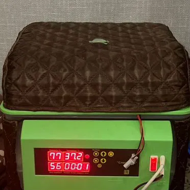 Автоматический инкубатор для яиц "Спектр-84-01"