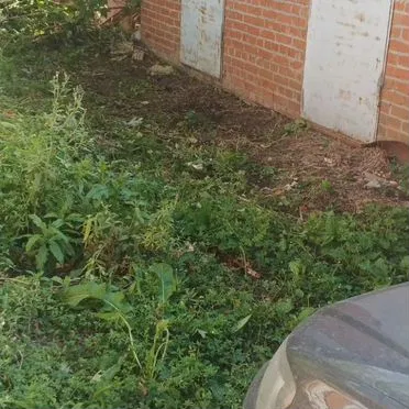 Гараж, 10 м²