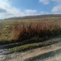Участок 6 га (СНТ, ДНП), Ходжалы