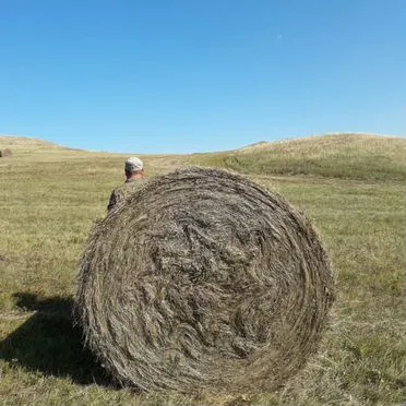 Сено 400-500 кг